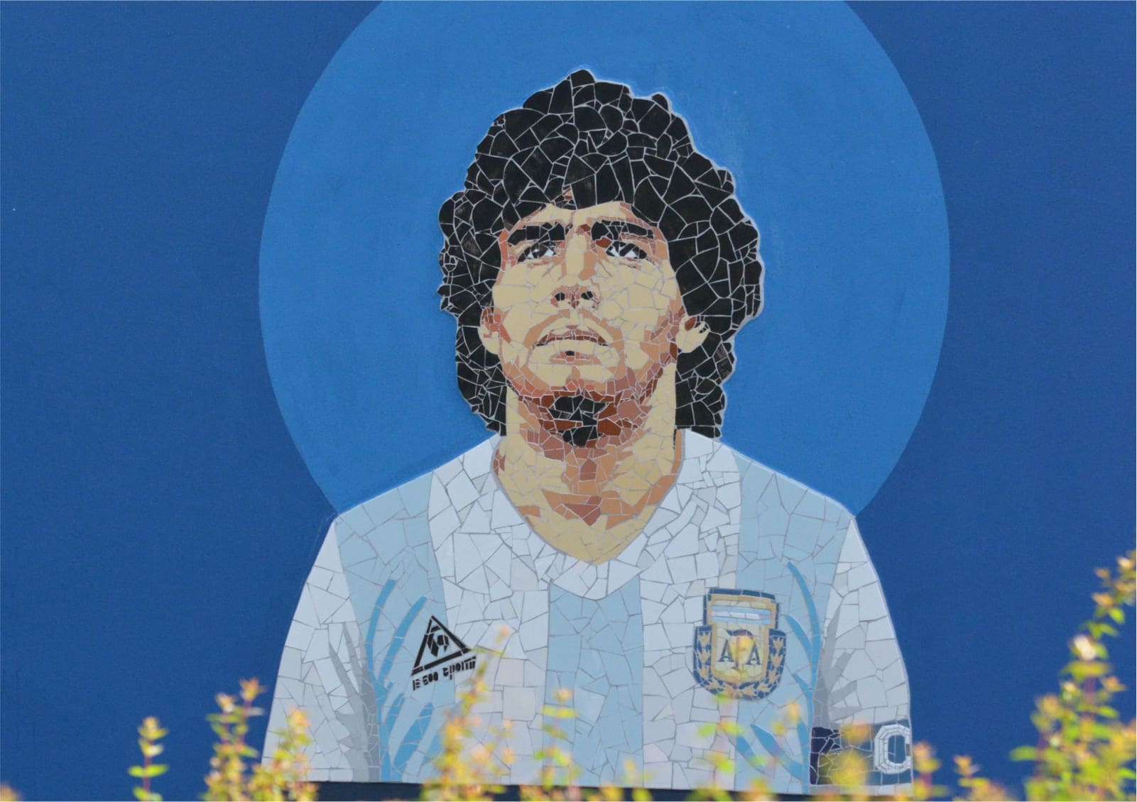 Pelusa Eterno - Mural Nº 133 - Buenos Aires 2022